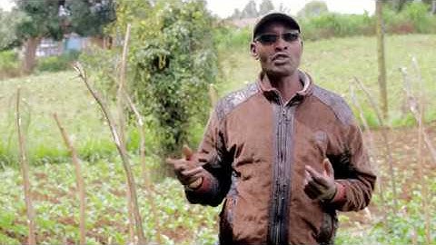 Soil Testing Benefits to smallscale farmers