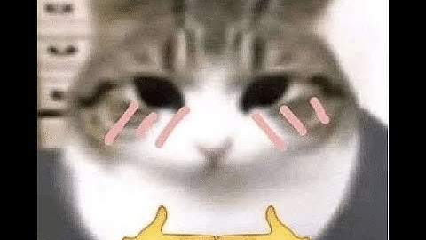 『Apex』、那些令我會心一笑的時刻