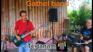 Download Lagu tertanam tony Q by Gathel band#tonyqrastafara #tonyq#rehearsalstudio MP3