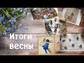 Вышивальные итоги весны.