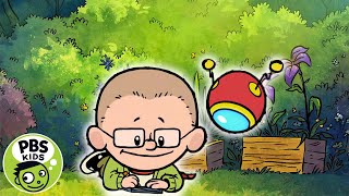 Xavier Riddle | Bradman and Berby and the Secret Garden | PBS KIDS