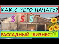 Как начать цветочно-овощной "БИЗНЕС" на Рассаде. Сколько нужно денег вложить для получения прибыли.