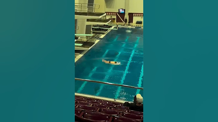 "¡Le Faltó Altura! Nadador se da un Planchazo en el Agua" 😱 #youtube #viralvideo #shorts #sports #me