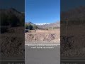Ladakh Marathon Feels Different 🐧 | Full Marathon 2025