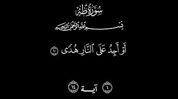 شاشه سوداء سورة طه القارئ محمد ايوب اجمل تلاوة مريحة 🤍🌹❤