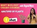 Anatomy of Plants in One Shot |Best Biology Crash Course | Ishita Khurana