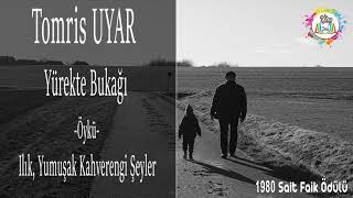TOMRİS UYAR | YÜREKTE BUKAĞI | 7. HİKAYE ILIK, YUMUŞAK KAHVERENGİ ŞEYLER | SESLİ KİTAP screenshot 2