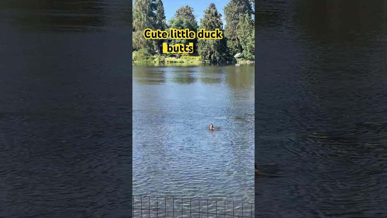 Drake Park, Bend, Oregon 🦆