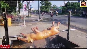 (ẨM THỰC) HƯỚNG DẪN THỰC HIỆN MÓN HEO RỪNG NƯỚNG THẢO MỘC CHO QUÁN ĂN TẠI TP. CAO LÃNH