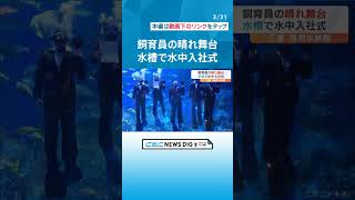 スーツ姿で水槽にドボン　水族館の新入飼育員が大水槽で水中入社式 #チャント