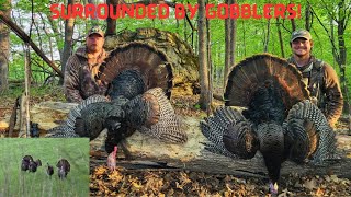 2 Gobblers 1 Gun - WI Turkey Hunt - Crazy Hunt by Ridge & Valley Pursuits 973 views 10 months ago 12 minutes, 41 seconds