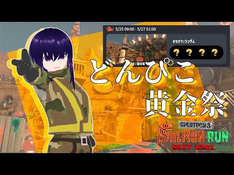 【サーモンランNW】どんぴこ武闘会の終焉【Vtuber】