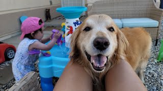 A little girl and her Golden Retriever