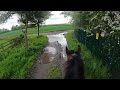 Cantering in the woods with Rainbow