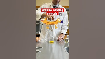 Emulsifiers are like CatDog molecules