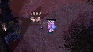 [OriginsRO] Crusader (Shield Boomerang) at Disguise (188k exp/min)