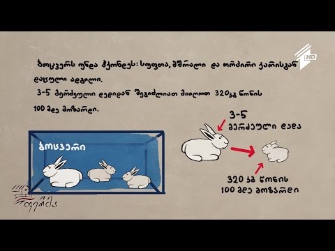 სასარგებლო რჩევები მებოცვრეებს