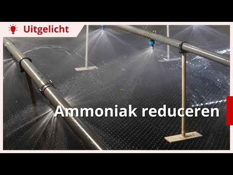 Video: Waar wordt ammoniak gemaakt?