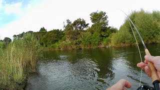 Fly Fishing NZ  Tauranga Taupo River