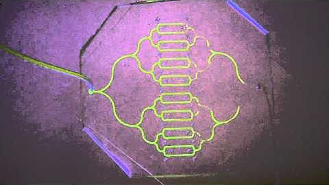 Parallel Contactless Dielectrophoresis Microfluidic Devices