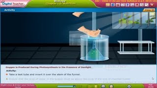 Oxygen is Produced during Photosynthesis in the presence of sun,  Class 10 Biology