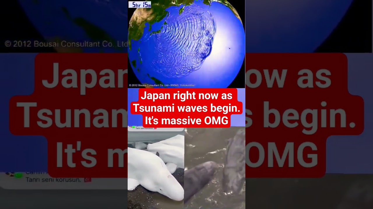 Tsunami Waves in Japan Have Gotten Out of Hand