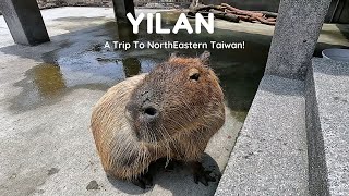 A Trip To Yilan, Taiwan | Capybara Experience, Onsen & Cafe!