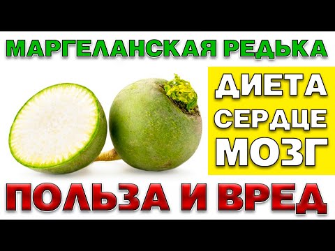 МАРГЕЛАНСКАЯ РЕДЬКА - ПОЛЬЗА И ВРЕД (ПОДАРОК ИЗ УЗБЕКИСТАНА)