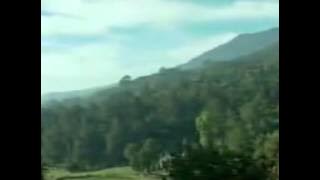 LIVE ORGAN TARLING DANGDUT   KEMBANG IRENG