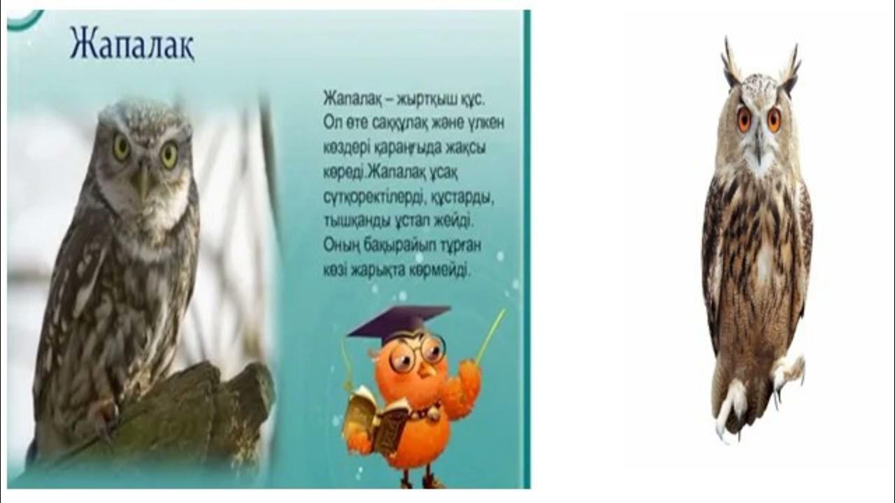 Анам жопадағы ит стилін алады Анам жопадағы ит стилін алады