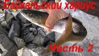 Отдых и рыбалка на хариуса на Байкале в бухте Орсо. часть 2