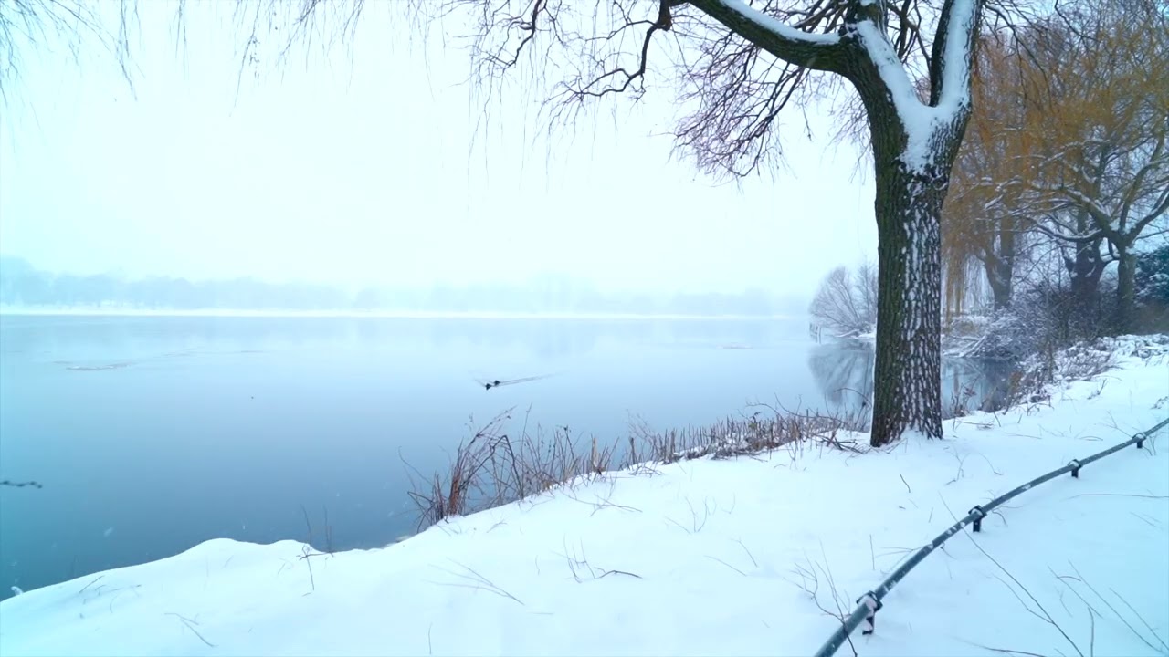 Slow Beats to Relax/Study To