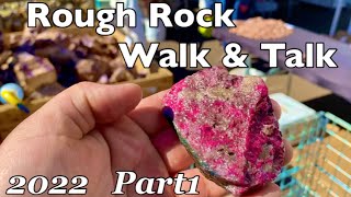 Rough Rock Walk & Talk Part1 Tucson Gem Show 2022