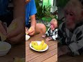Bibi starts off with a light meal before swimming monkey cute bibi funny viral shorts