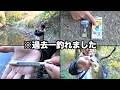 冬でも釣れまくる野池の秘密とは‥。