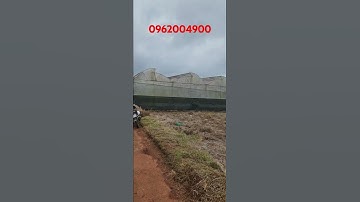 500m2 2,5 tỉ xã Xuân Thọ, Đà Lạt. P01 0962004900 #shortvideo