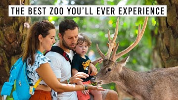 BALI ZOO