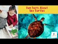 Fun Facts For Kids About Sea Turtles | Science For Kids | Educational Video For Kids