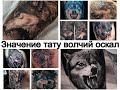 Значение тату волчий оскал   информация и фото для сайта tattoo-photo.ru