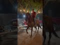 🔥🐴 cuaco cuaco