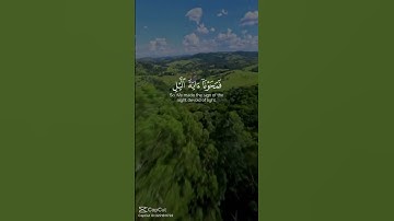 ياسر الدوسري قران كريم #قران_كريم #تلاوة_خاشعة #اكسبلور