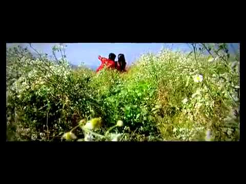 Rona Chadita Feroz Khan, Raj Dedicates His Destiny, Sarita