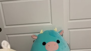 •/101 Sub Special! Squish Hunting and Packages\• Rare Cow!?!!?