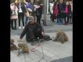 Roadside monkey show in china