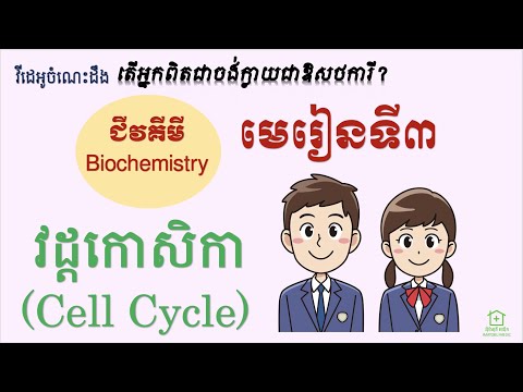 ជីវគីមី [3] - វដ្ដកោសិកា (Biochemistry-3 : Cell Cycle)