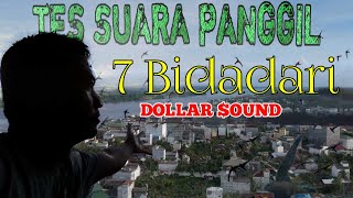 Test Suara Panggil DOLLAR SOUND | 7 Bidadari