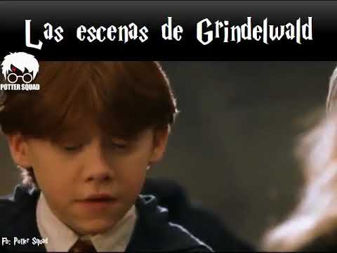 Vídeo: Grindelwald sabia que la credibilitat era l'obscurial?