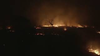 Drone footage from historic amazon fires taken in an indigenous
community of el gran chaco and chiquitania. the now raging across
latin america are not...