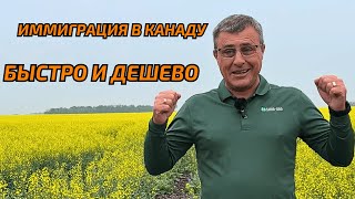 Самый простой и быстрый способ иммиграции в Канаду