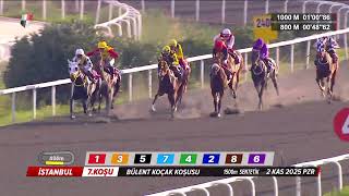 2025 Bülent Koçak Koşusu Kv-6 , 2 Yaşli İngi̇li̇z Taylari ,1500M Senteti̇k Pi̇st